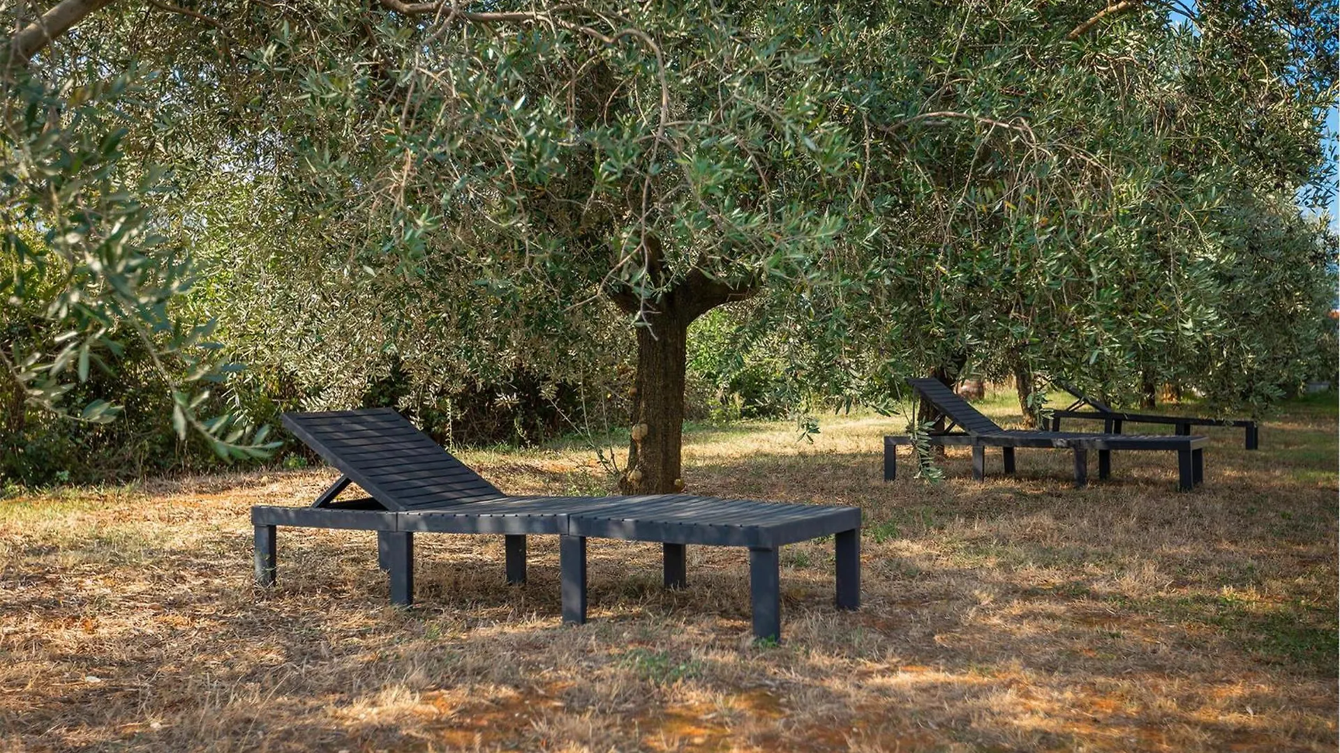 Villa Auri Pula